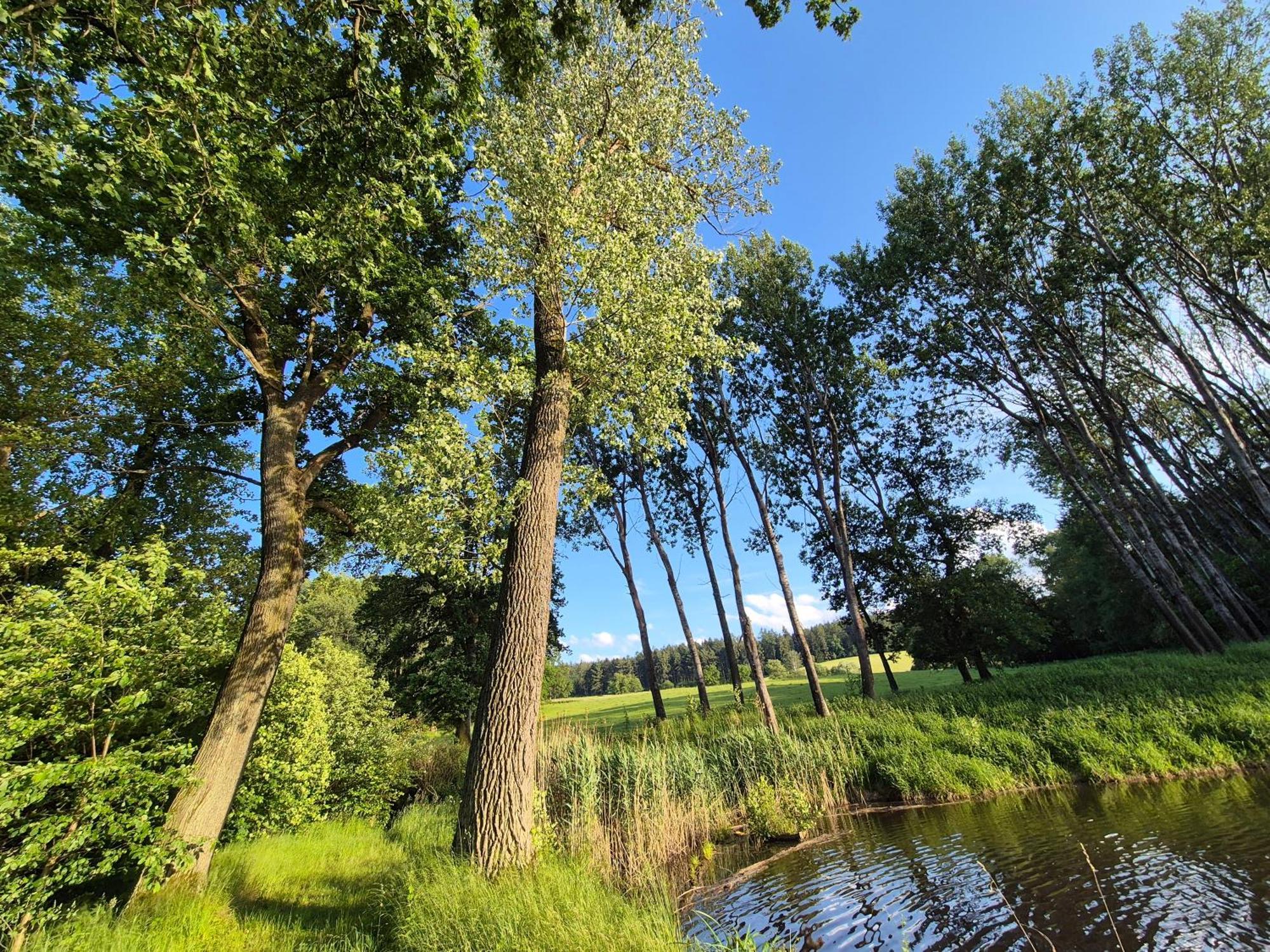 Hotelový a jezdecký areál Dvůr Krutěnice Esterno foto