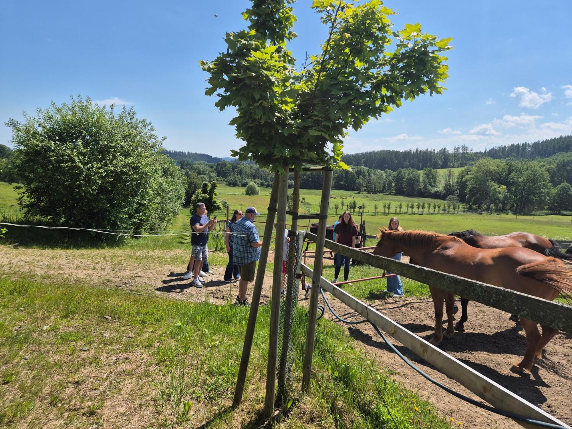 Hotelový a jezdecký areál Dvůr Krutěnice Esterno foto