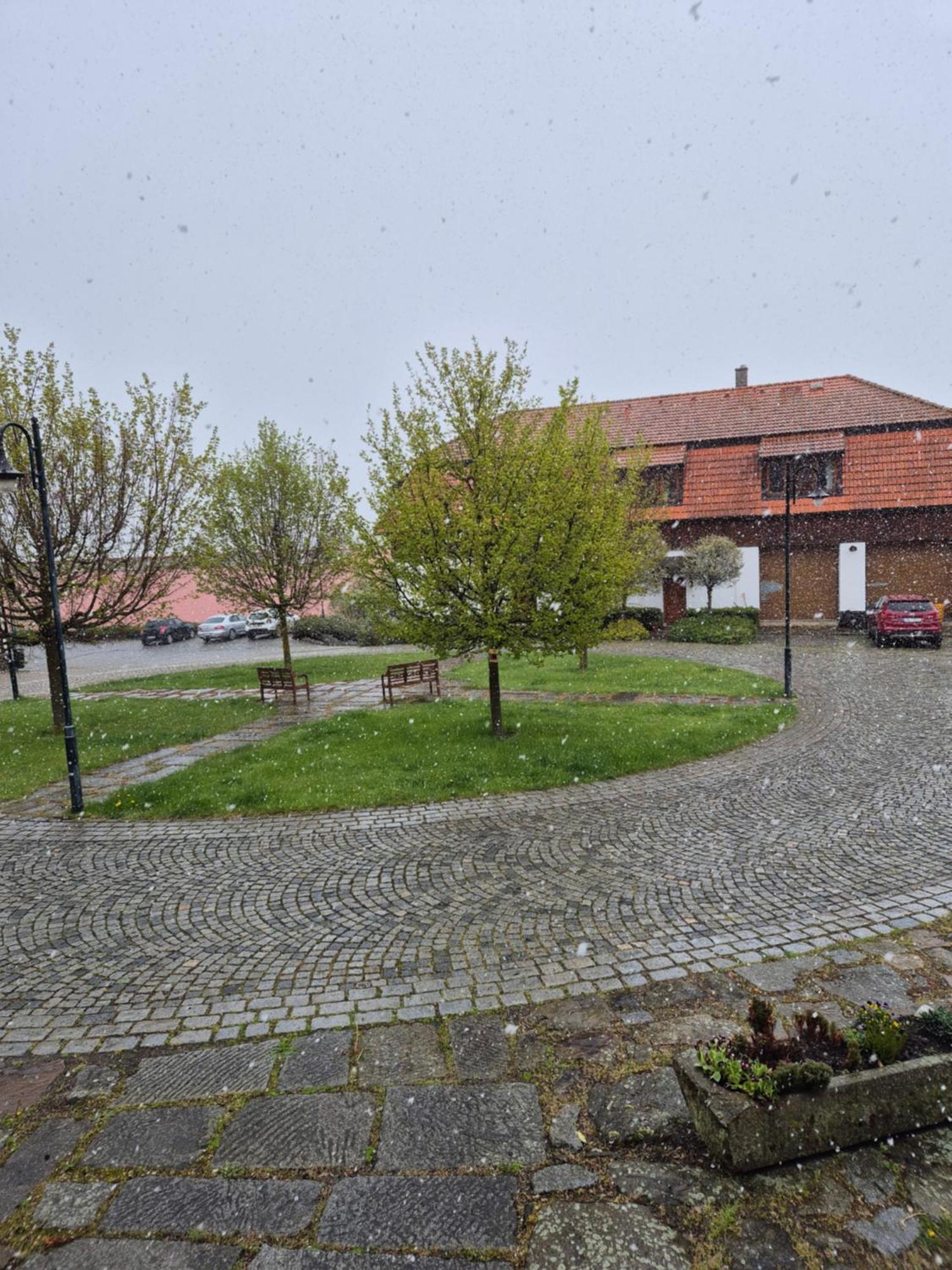 Hotelový a jezdecký areál Dvůr Krutěnice Esterno foto