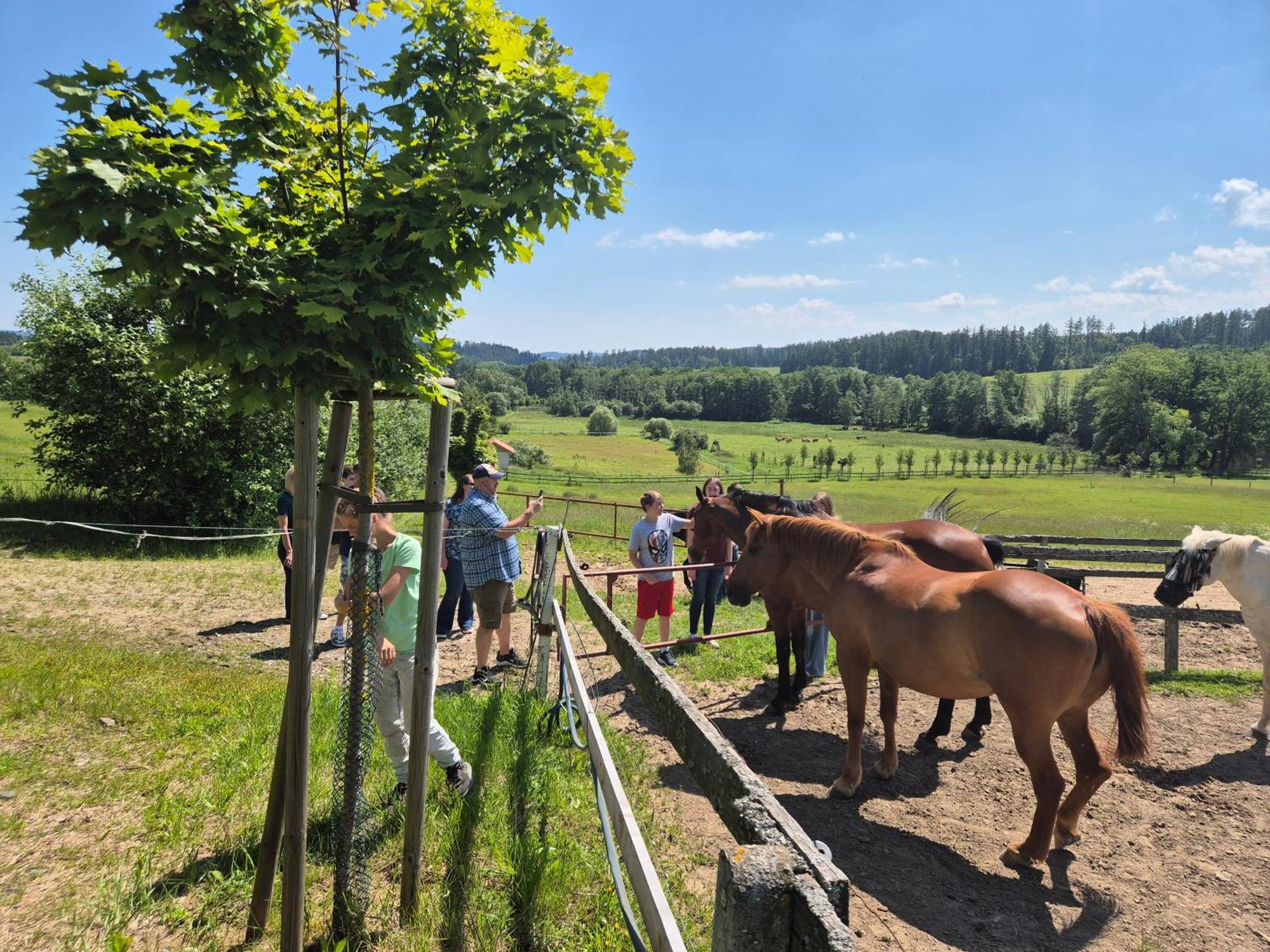 Hotelový a jezdecký areál Dvůr Krutěnice Esterno foto