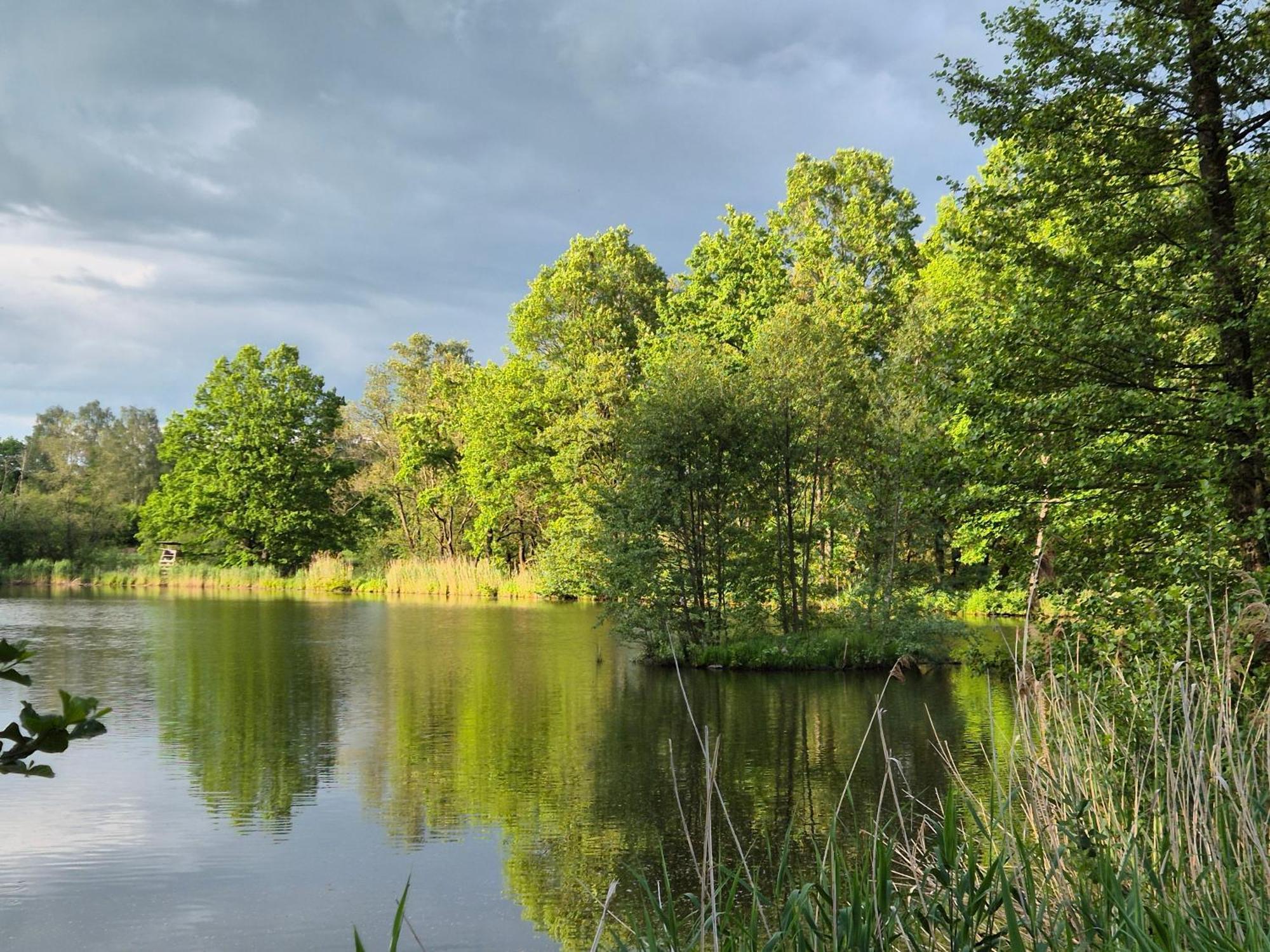 Hotelový a jezdecký areál Dvůr Krutěnice Esterno foto
