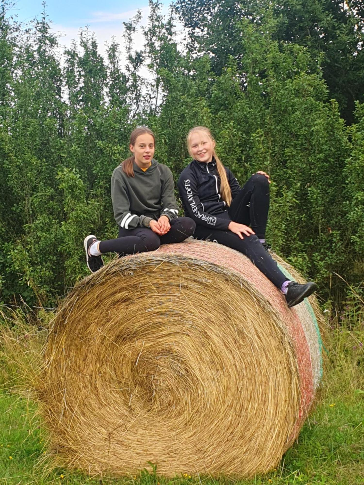 Hotelový a jezdecký areál Dvůr Krutěnice Esterno foto